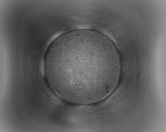 X0000116101171200911231119