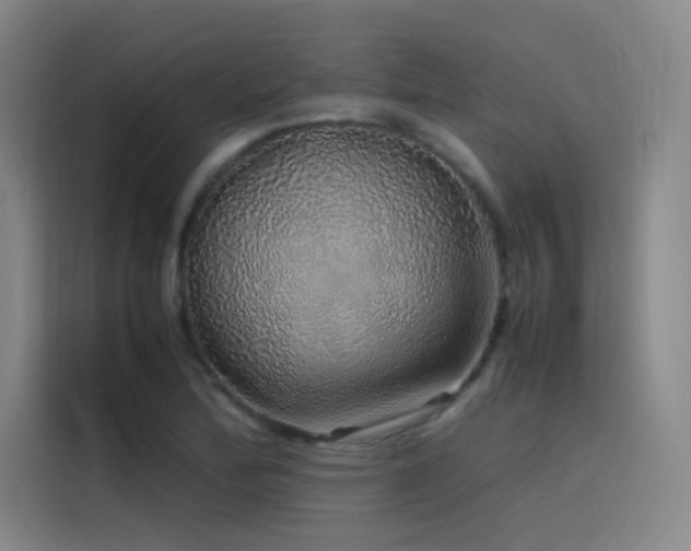 X0000116101172200911231119