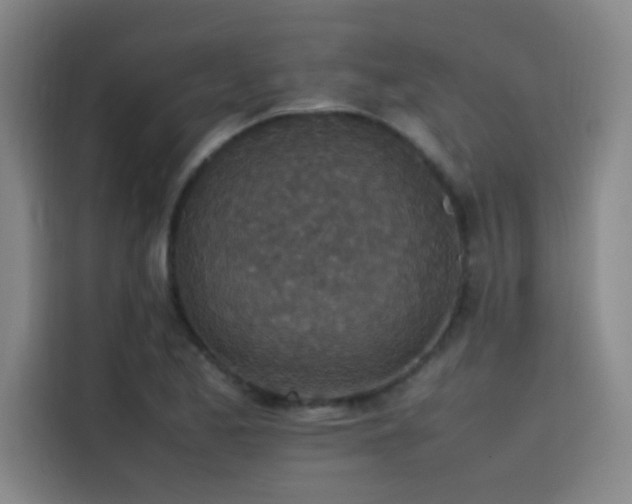 X0000116101173200911231119