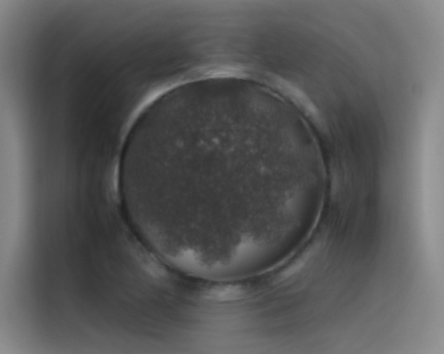 X0000116101174200911231119