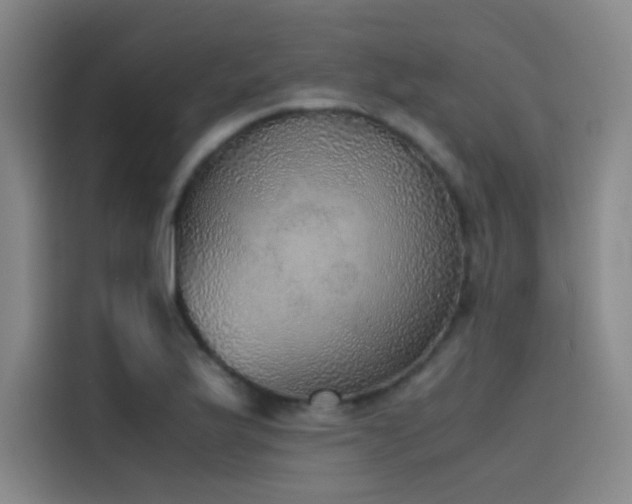 X0000116101175200911231119