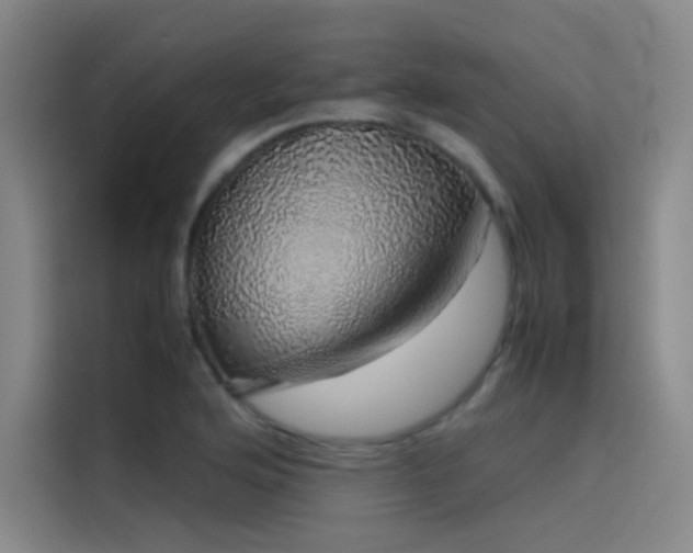X0000116101176200911231119