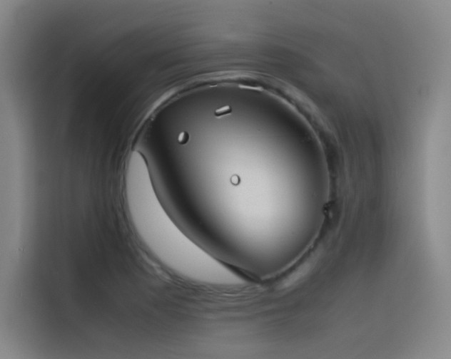 X0000116101177200911231119