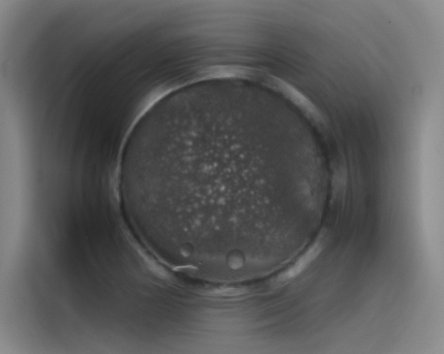 X0000116101178200911231119
