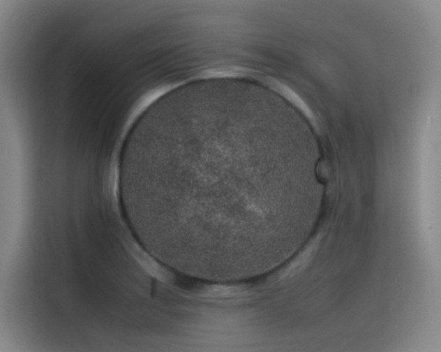 X0000116101179200911231119