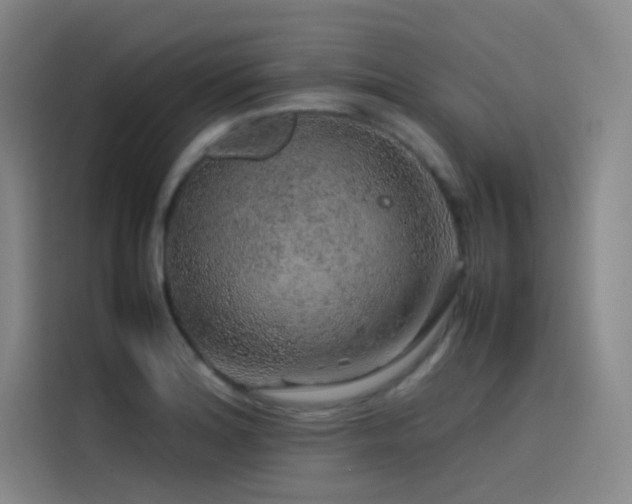 X0000116101180200911231119