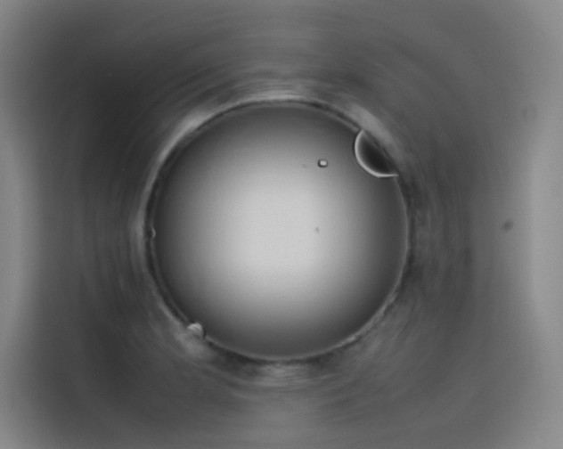 X0000116101181200911231119