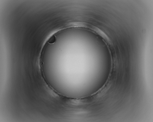 X0000116101182200911231119