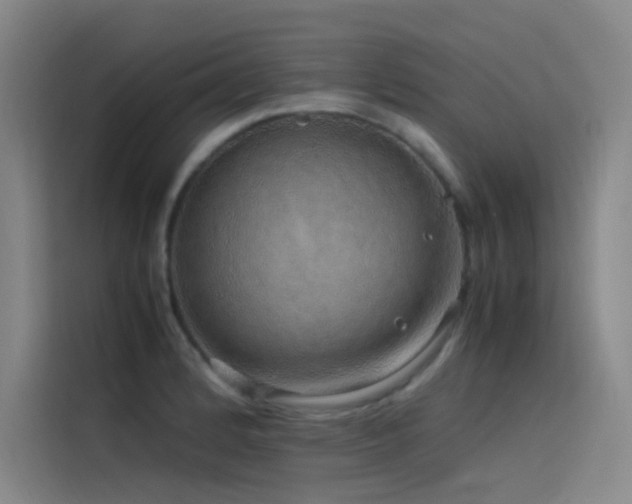 X0000116101184200911231119