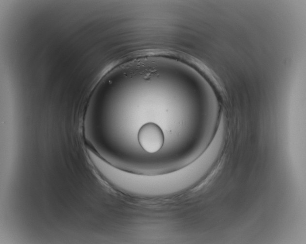 X0000116101185200911231119