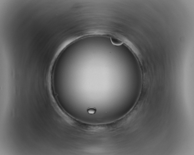 X0000116101187200911231119