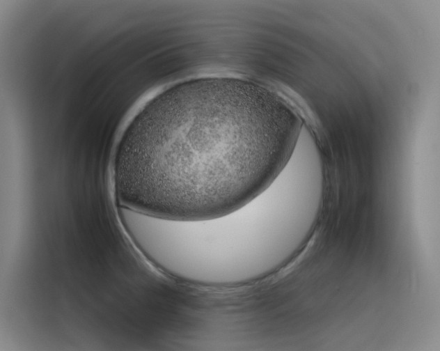 X0000116101188200911231119