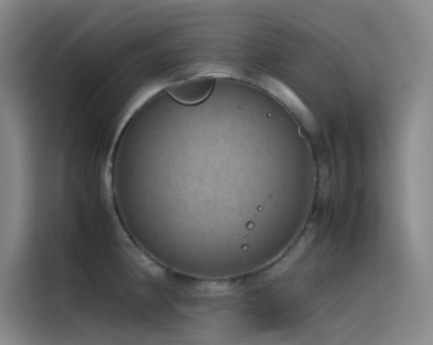 X0000116101190200911231119