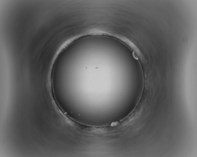 X0000116101191200911231119