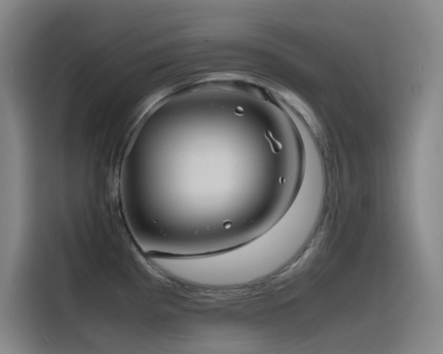 X0000116101193200911231119