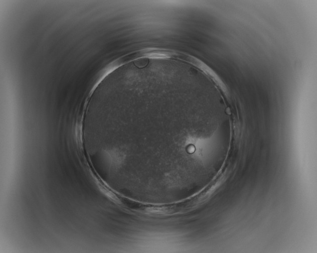 X0000116101194200911231119