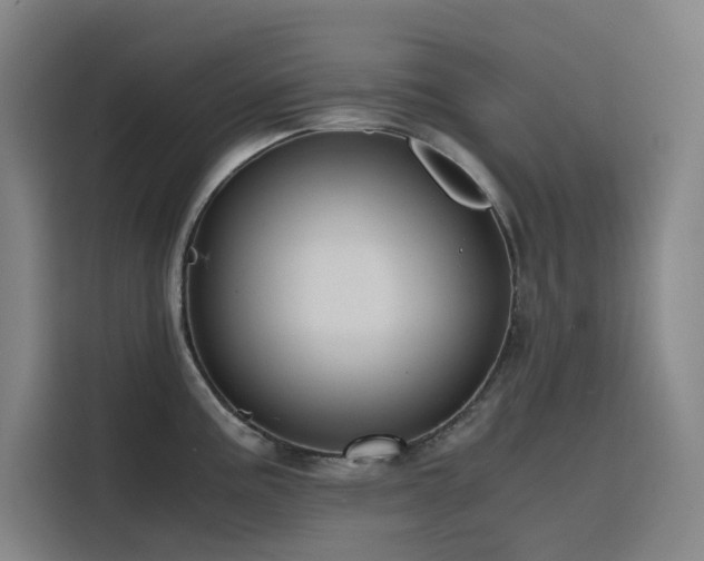 X0000116101195200911231119