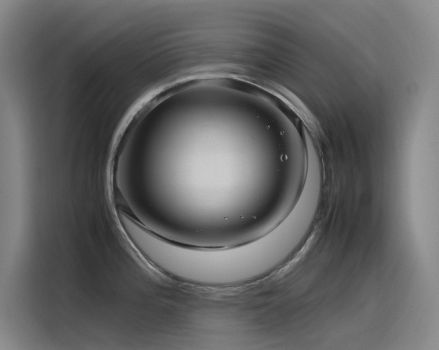 X0000116101196200911231119