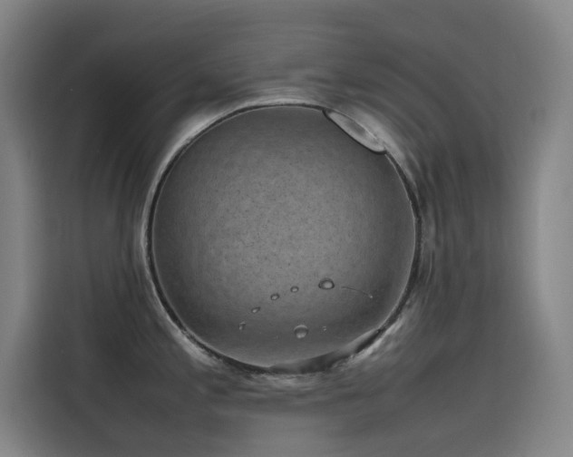 X0000116101197200911231119