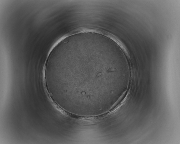 X0000116101198200911231119