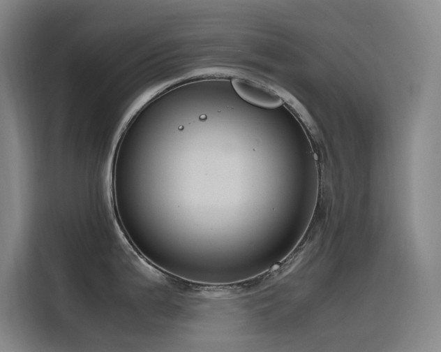 X0000116101199200911231119