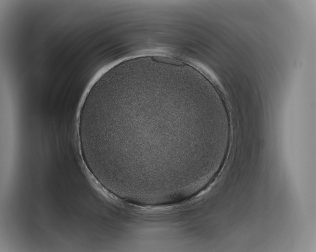 X0000116101200200911231119
