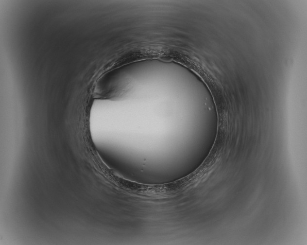X0000116101201200911231118