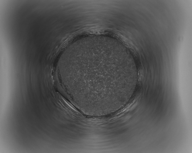 X0000116101202200911231118
