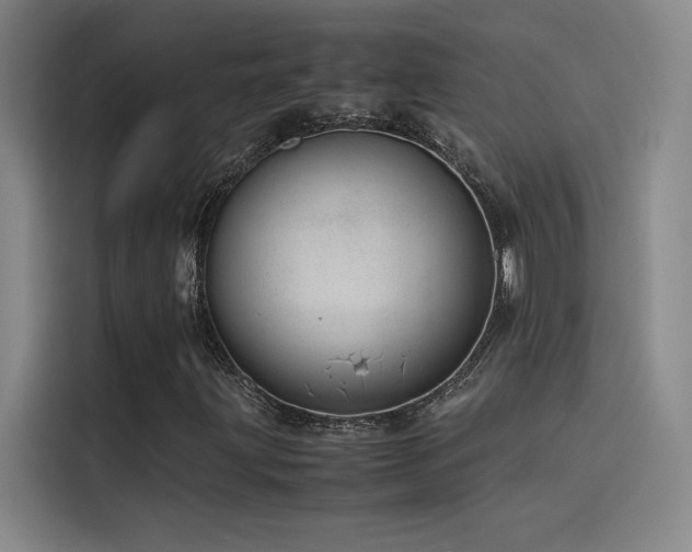 X0000116101203200911231118