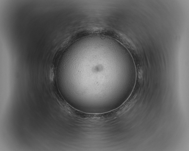 X0000116101204200911231118