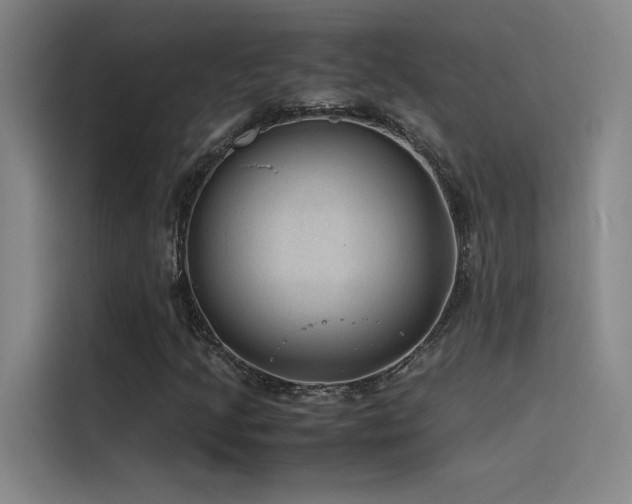 X0000116101205200911231118