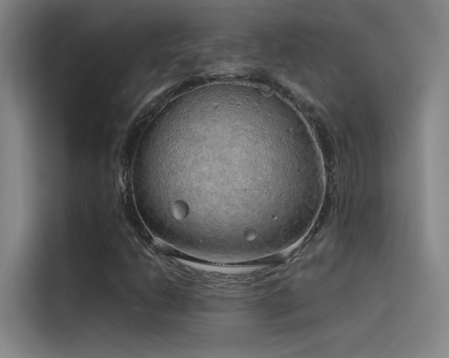 X0000116101206200911231118