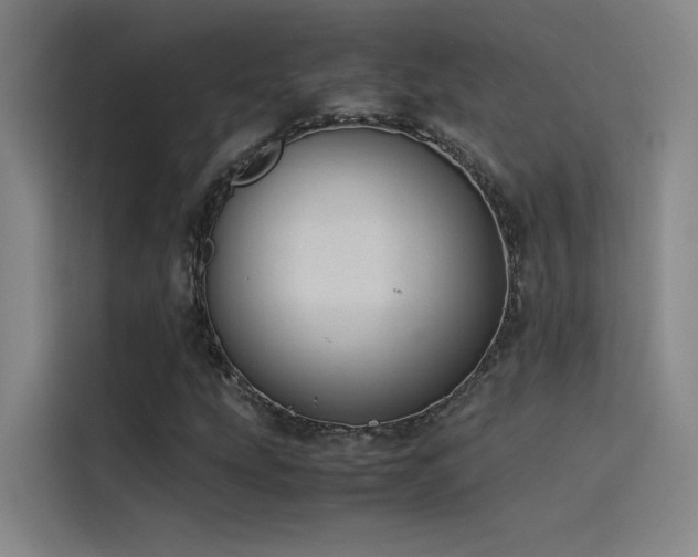 X0000116101207200911231118