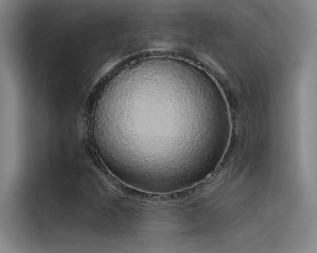 X0000116101208200911231118