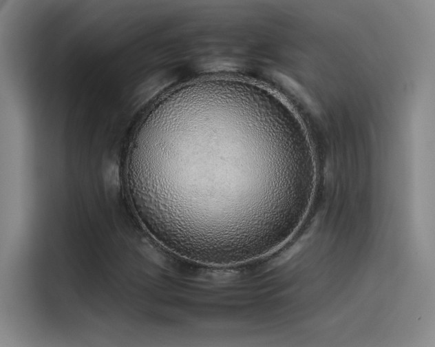 X0000116101209200911231118