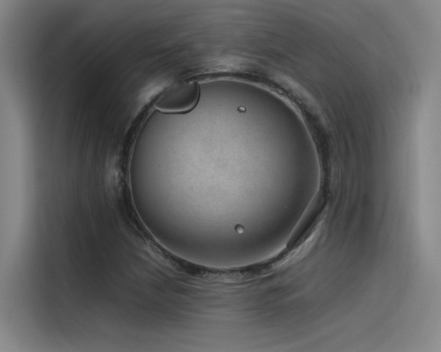 X0000116101210200911231119