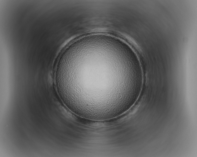 X0000116101212200911231119