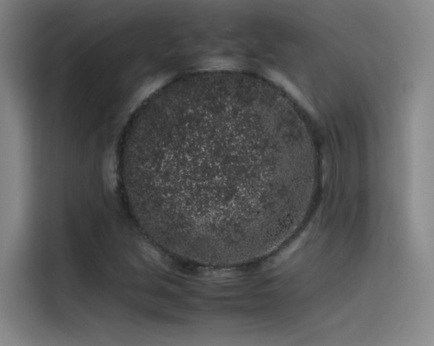 X0000116101213200911231119