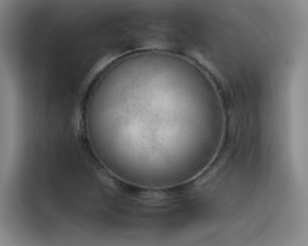 X0000116101215200911231119