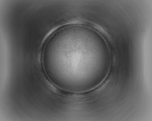 X0000116101216200911231119