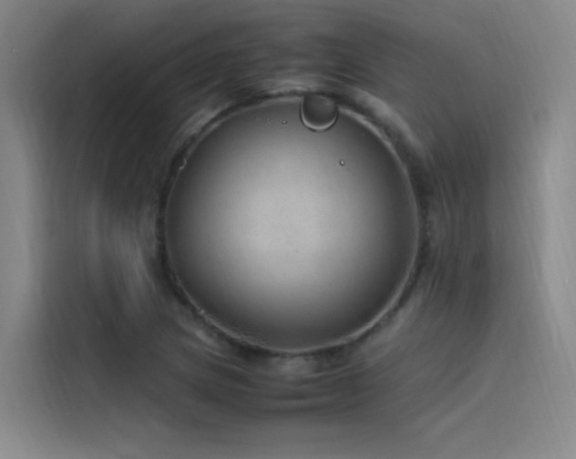 X0000116101217200911231119