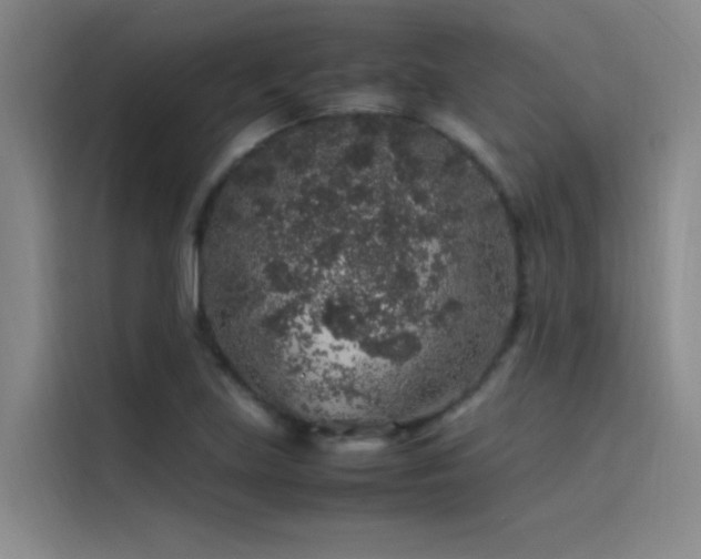 X0000116101219200911231119