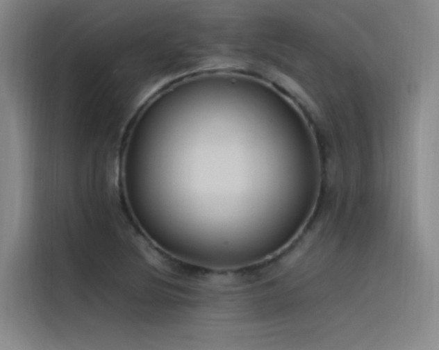 X0000116101220200911231119