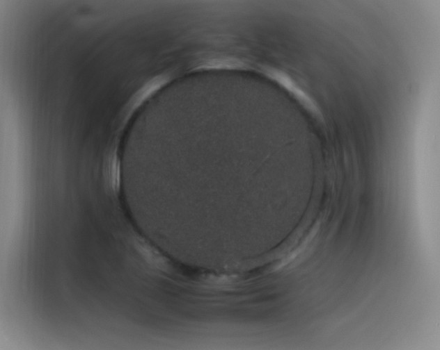 X0000116101221200911231119