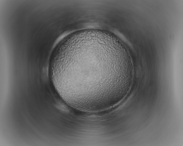 X0000116101222200911231119
