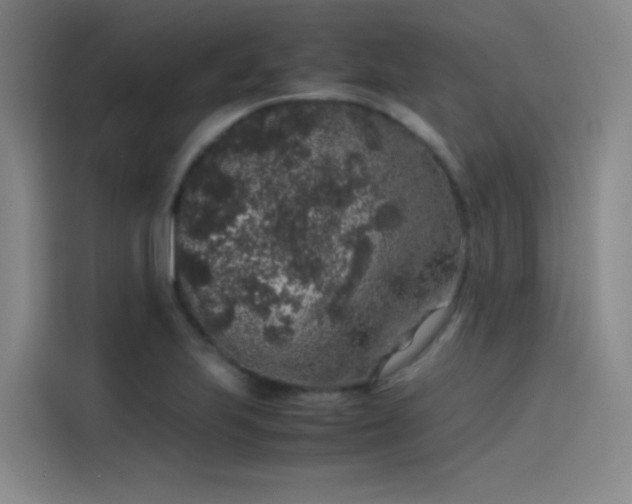 X0000116101223200911231119