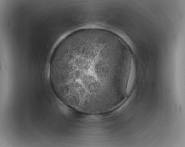 X0000116101224200911231119