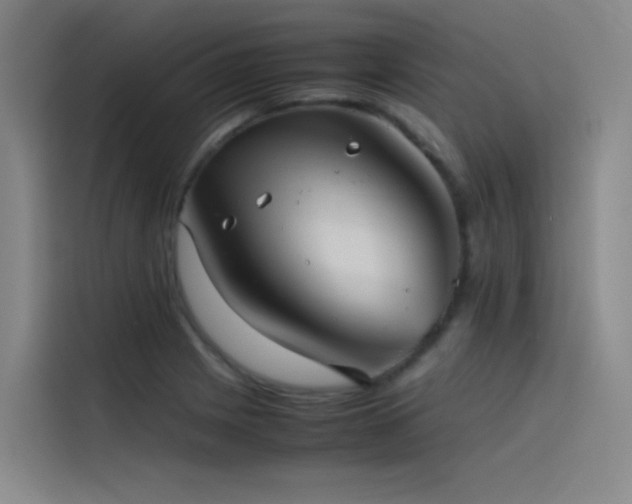 X0000116101225200911231119