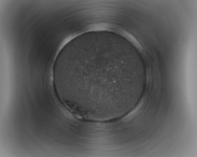 X0000116101226200911231119