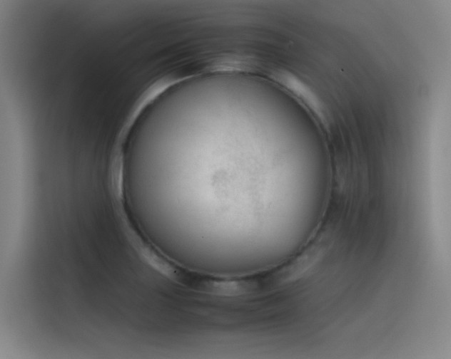 X0000116101227200911231119